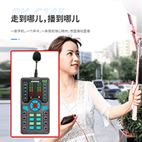 Mini live sound card RK-C145